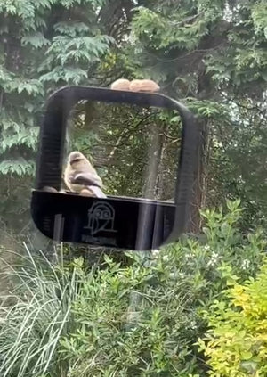 Photo d'avis de Pierre L.